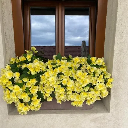 Statek Na Samote Holiday home