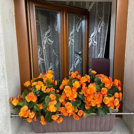 Statek Na Samote